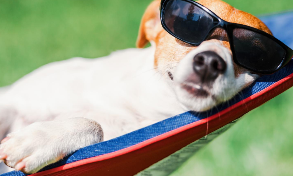 Blanc Plage Simple Montage Publication Facebook